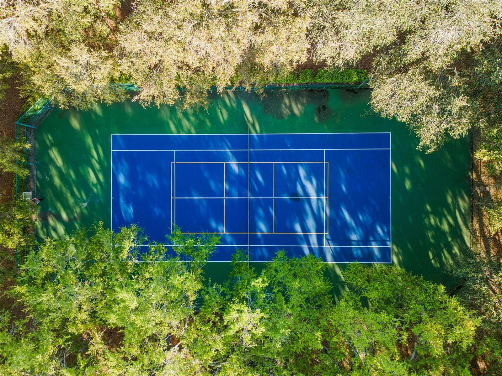 Image 63 of 64 For 100 Wyndham Drive