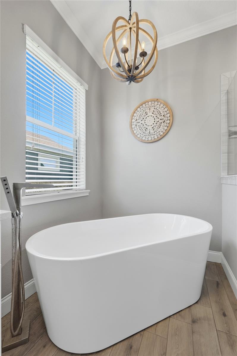 Image 24 of 71 For 539 Waterfern Trail Drive