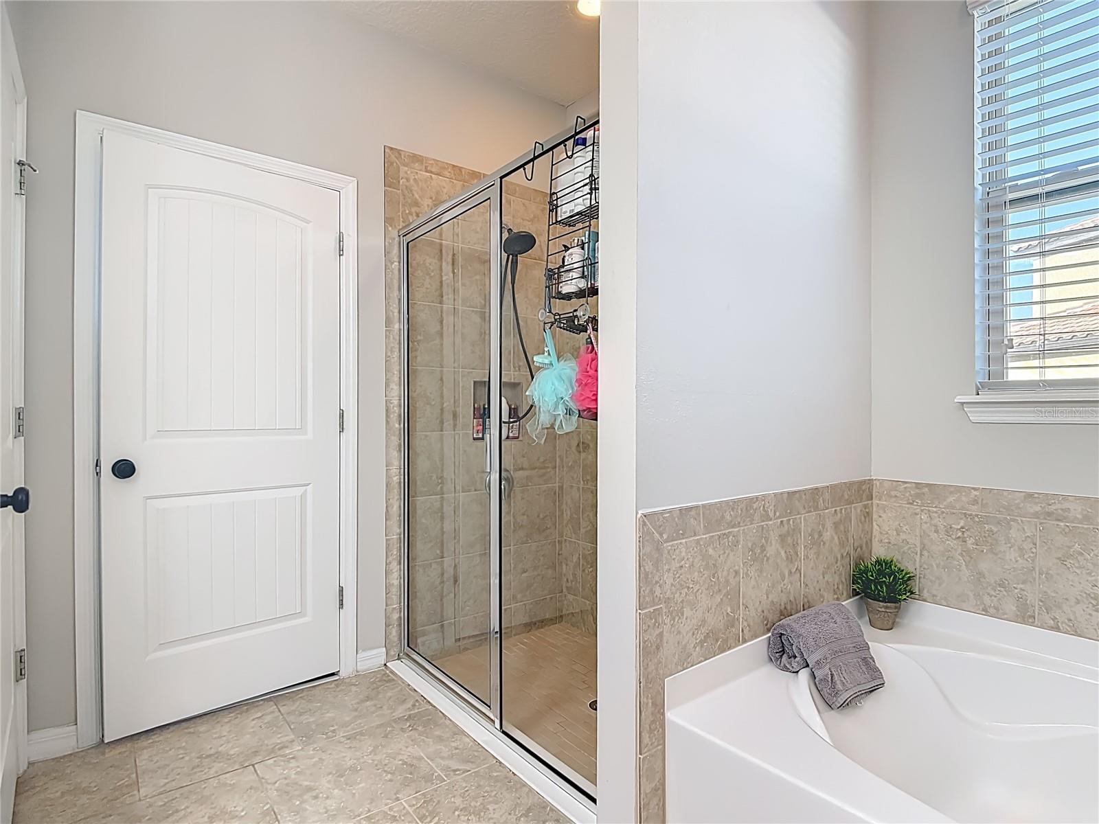 Image 50 of 86 For 4059 Prima Lago Circle