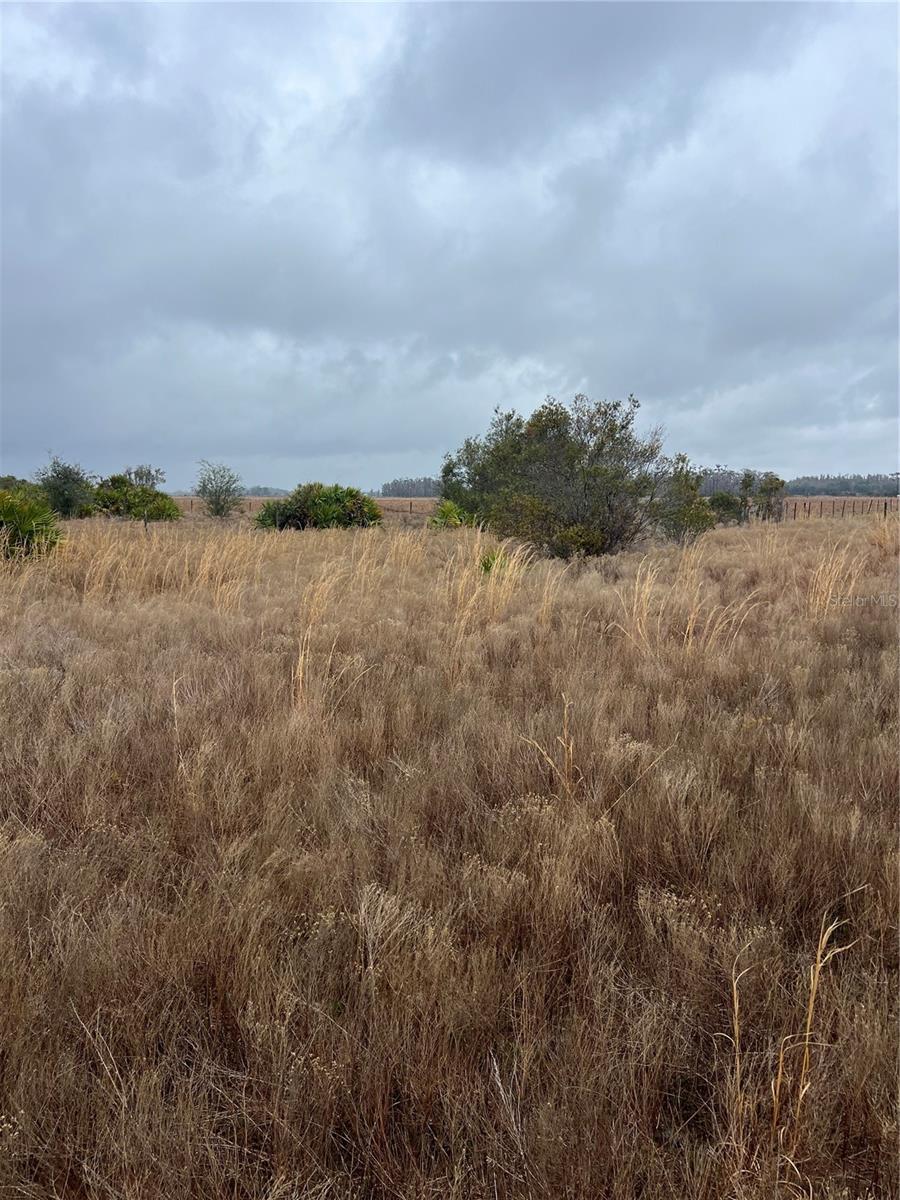 Image 2 of 4 For 1137 Hopkins Lane