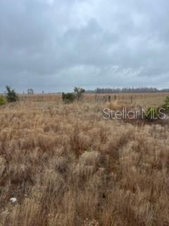 Details for 1137 Hopkins Lane, ZOLFO SPRINGS, FL 33890