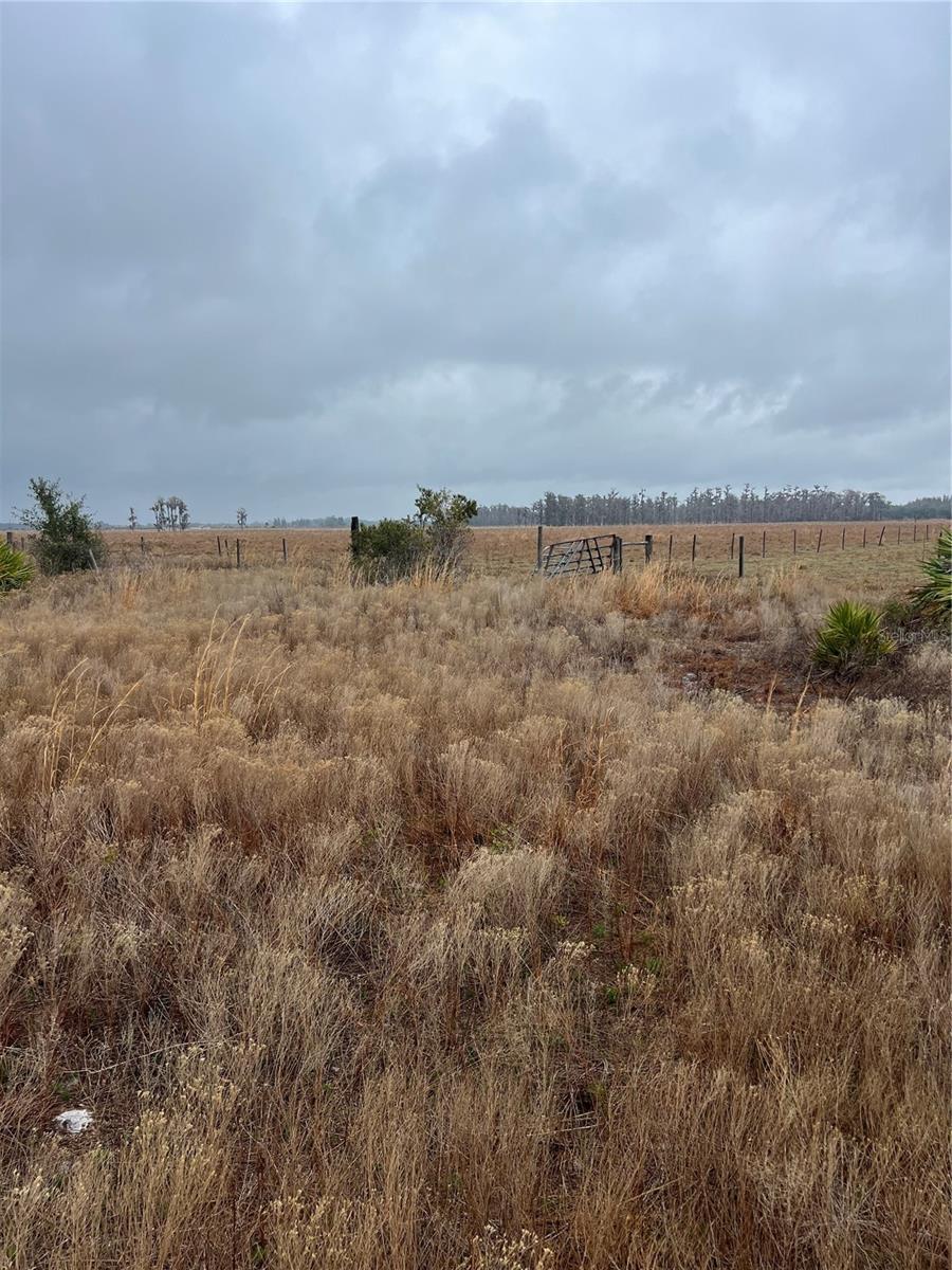 Image 2 of 6 For 1137 Hopkins Lane