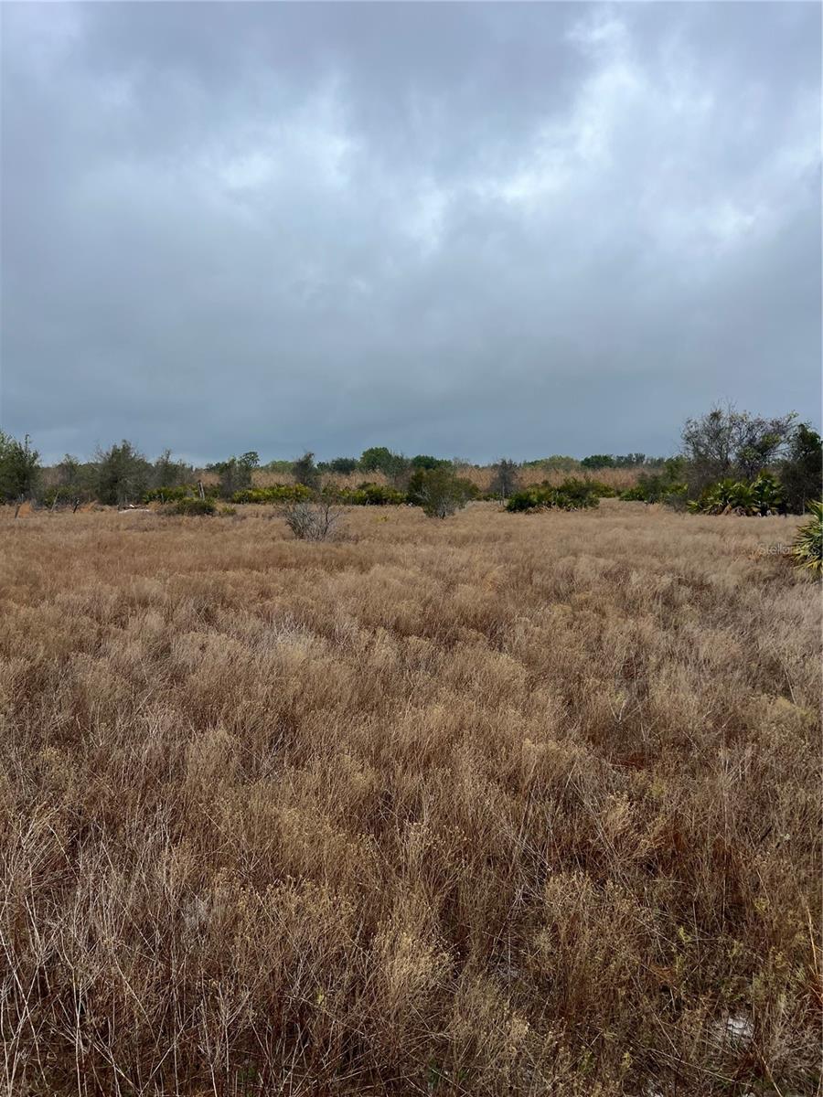 Image 4 of 6 For 1137 Hopkins Lane