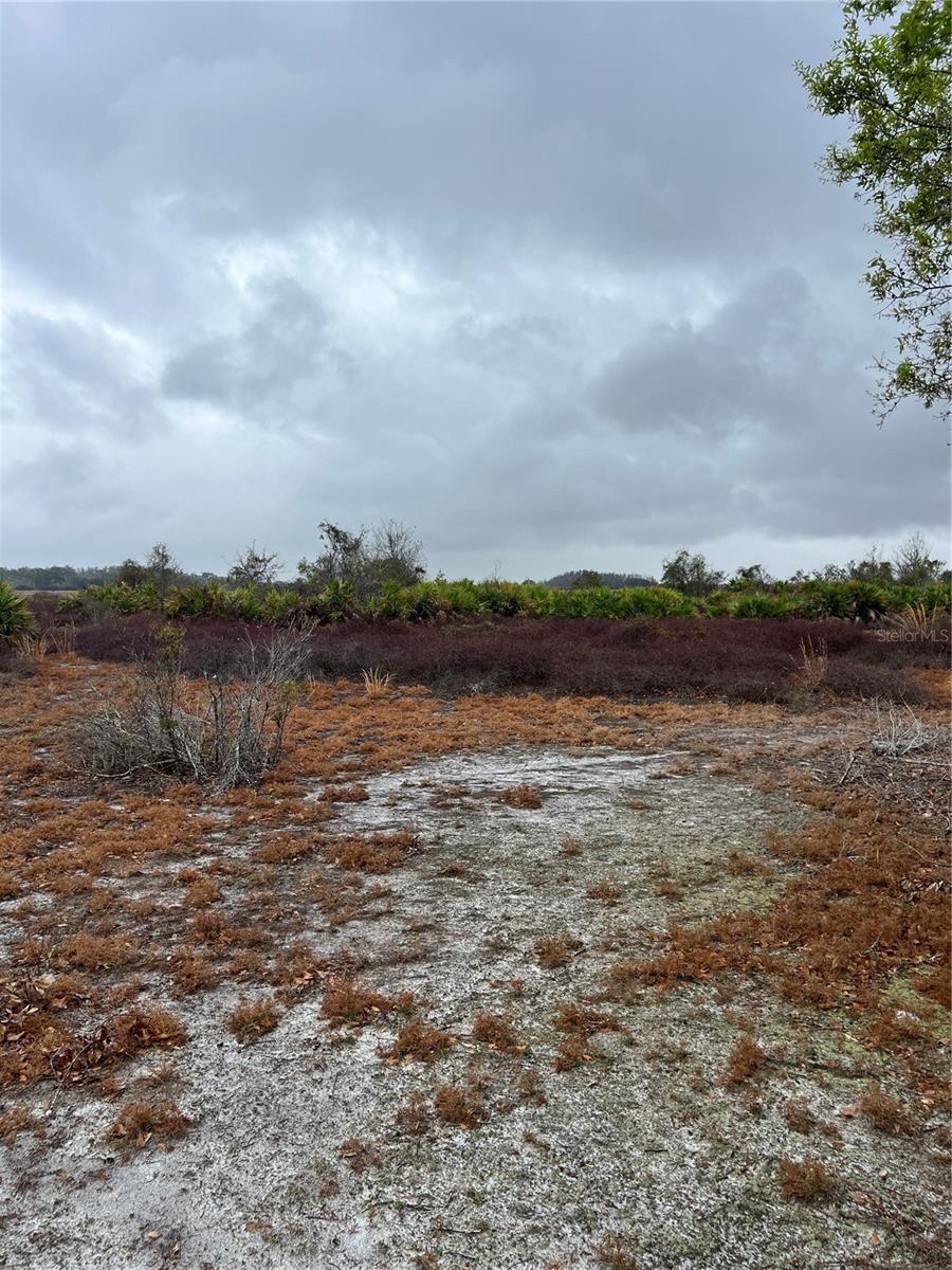 Image 5 of 6 For 1137 Hopkins Lane