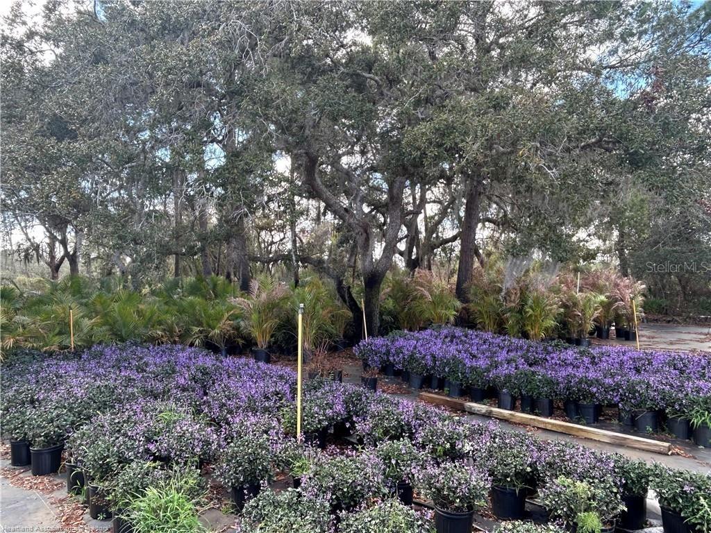 Image 11 of 39 For 9210 County Road 635