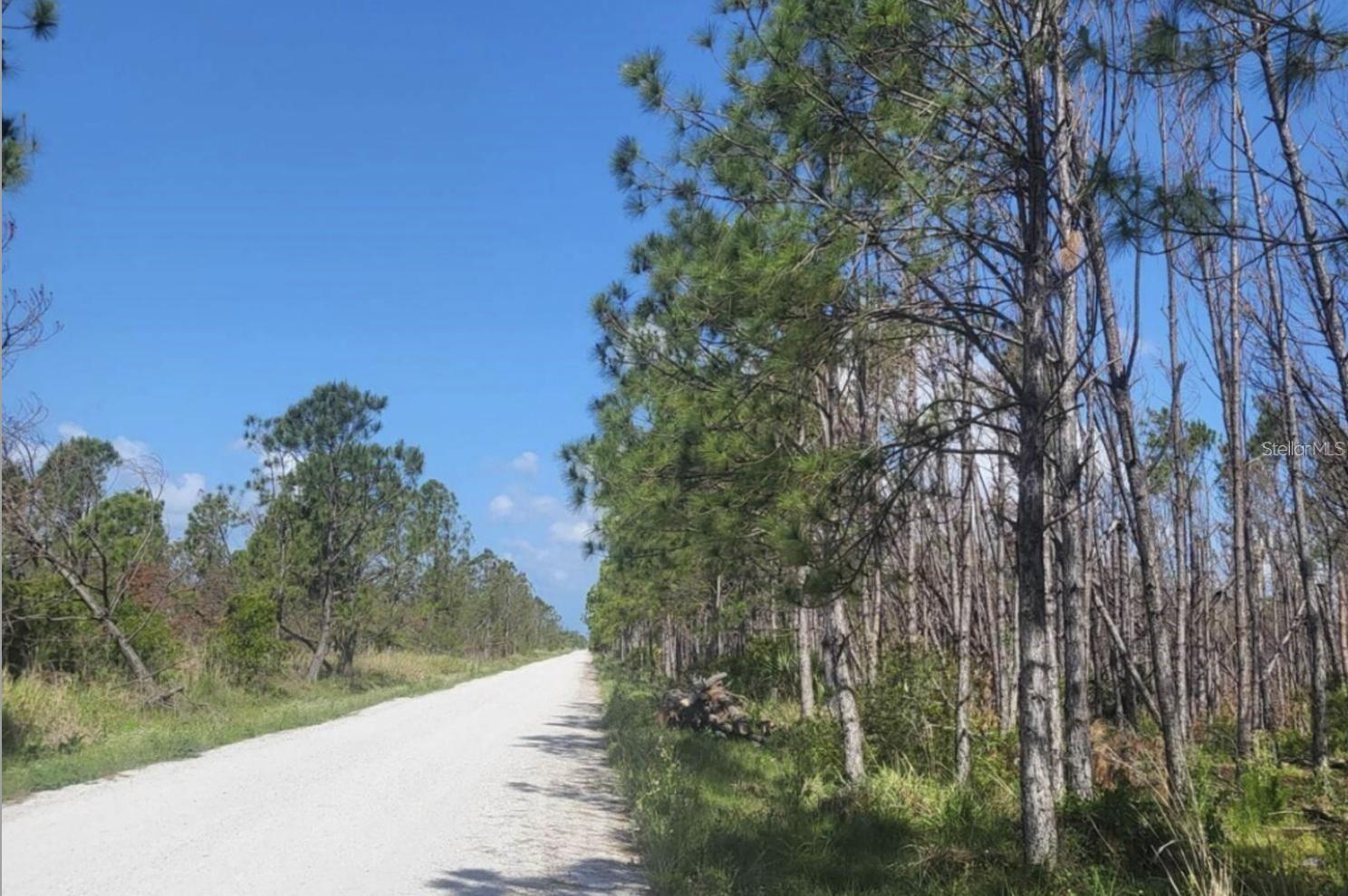 Image 20 of 21 For 7113 Regina Drive