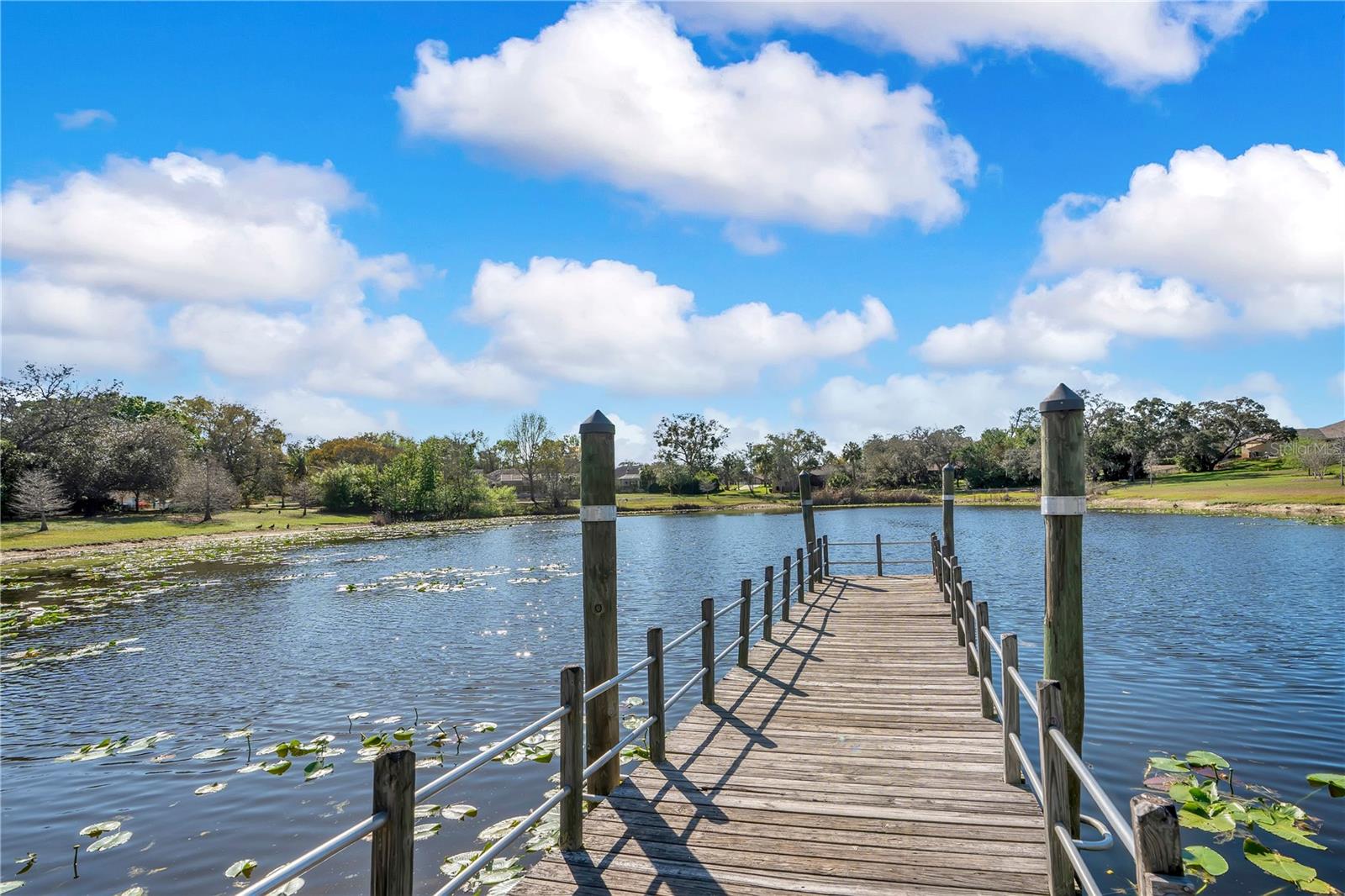 Image 58 of 66 For 8431 Delaware Drive