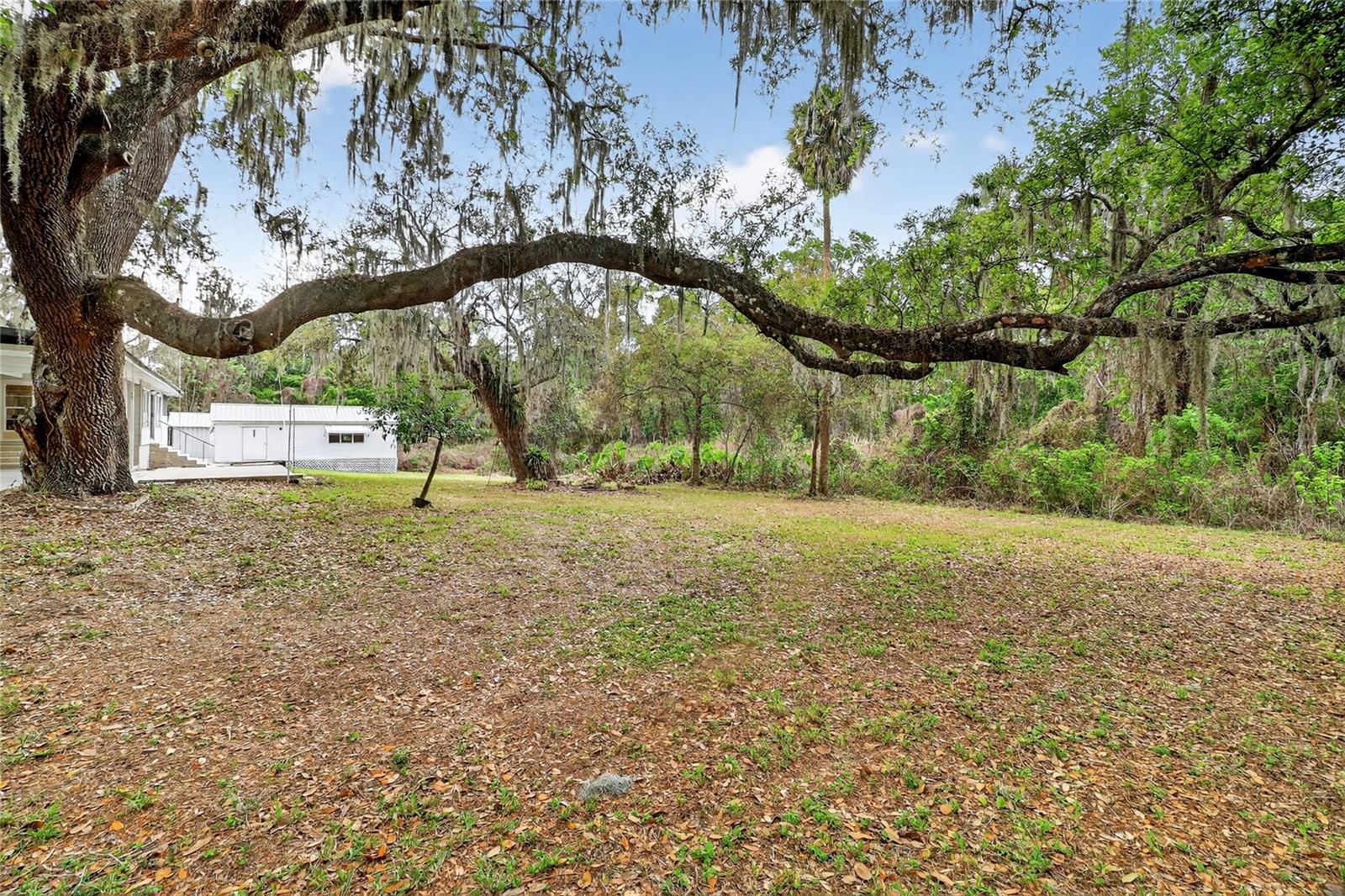 Image 54 of 70 For 1033 Oak Lane