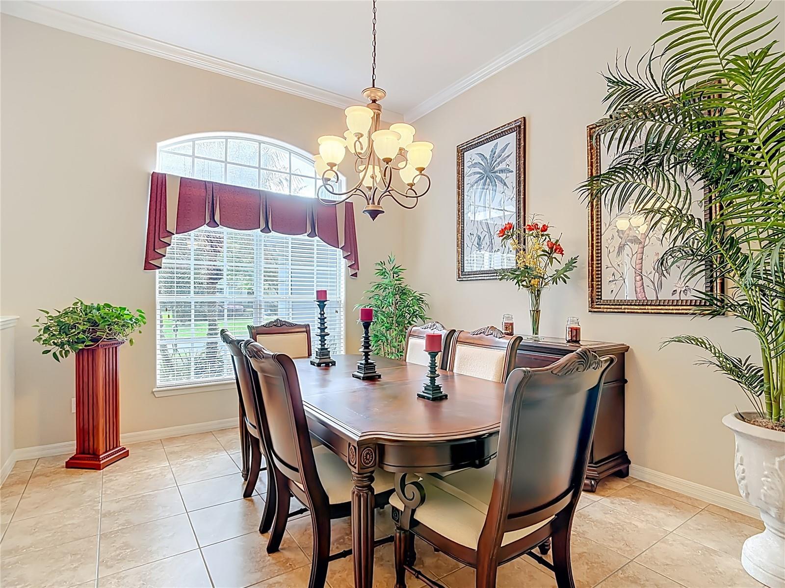 Image 15 of 58 For 277 Magneta Loop