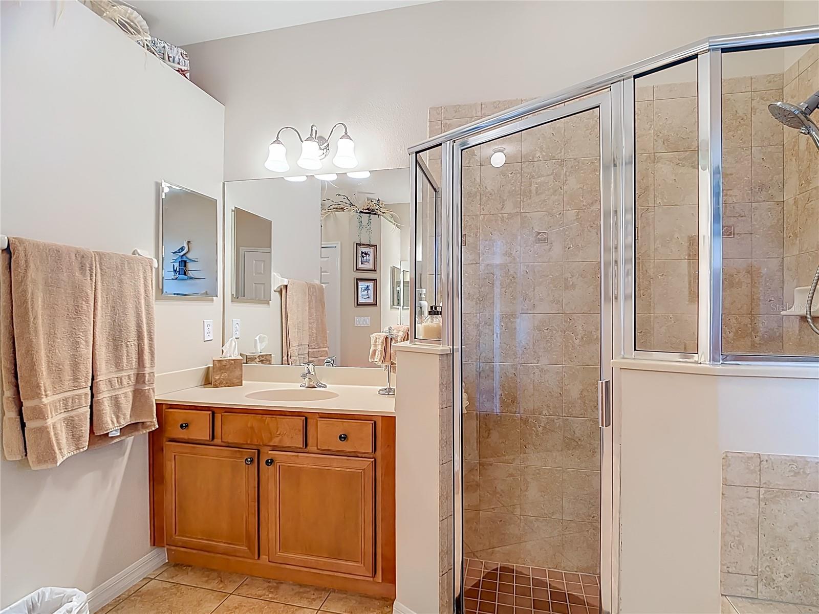 Image 28 of 58 For 277 Magneta Loop