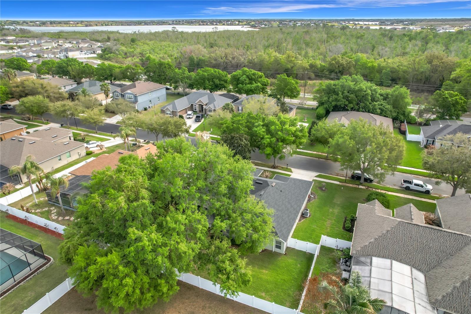 Image 48 of 58 For 277 Magneta Loop