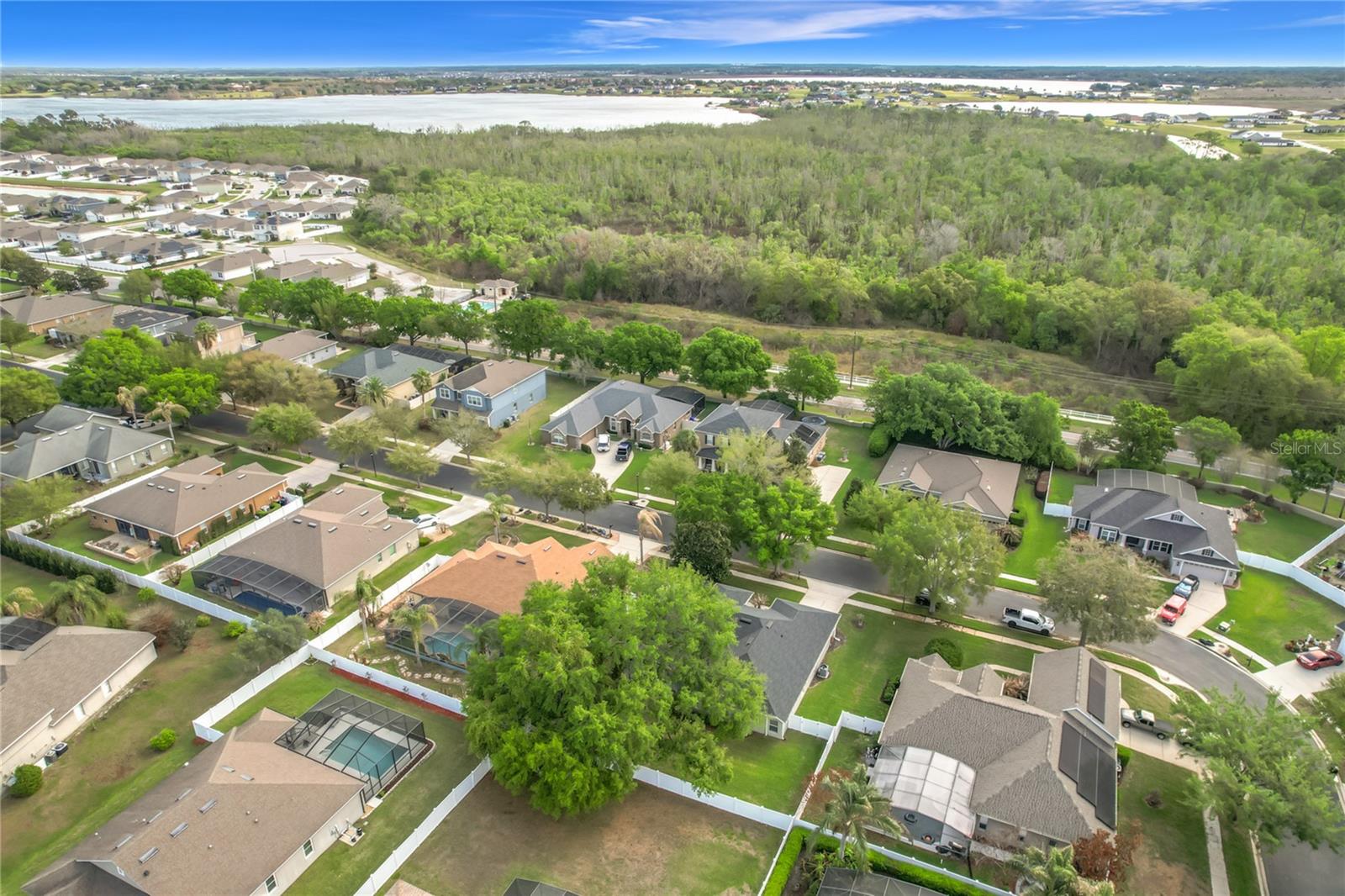 Image 51 of 58 For 277 Magneta Loop