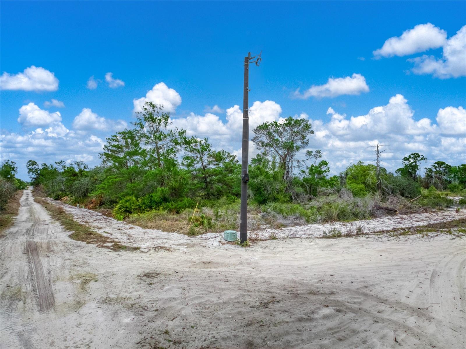 Image 10 of 16 For 143 Patton Avenue