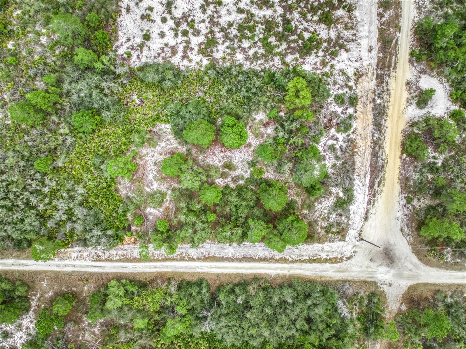 Image 11 of 16 For 143 Patton Avenue