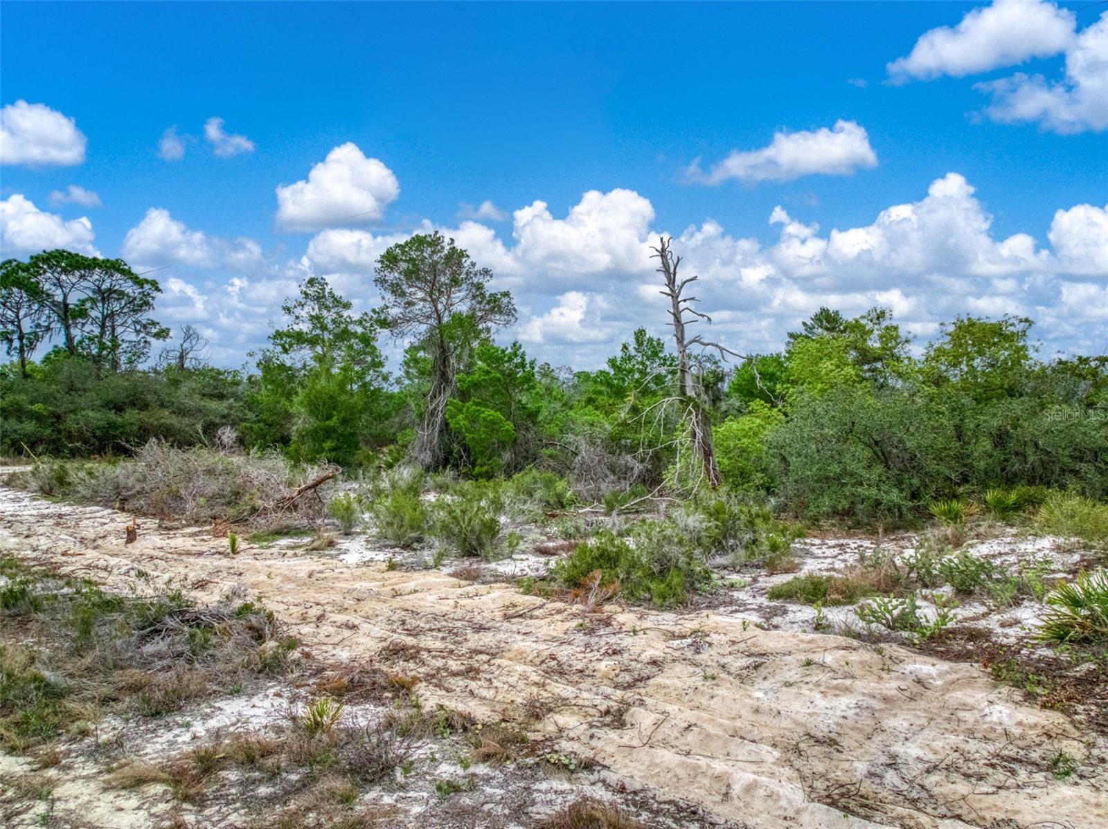 Image 12 of 16 For 143 Patton Avenue