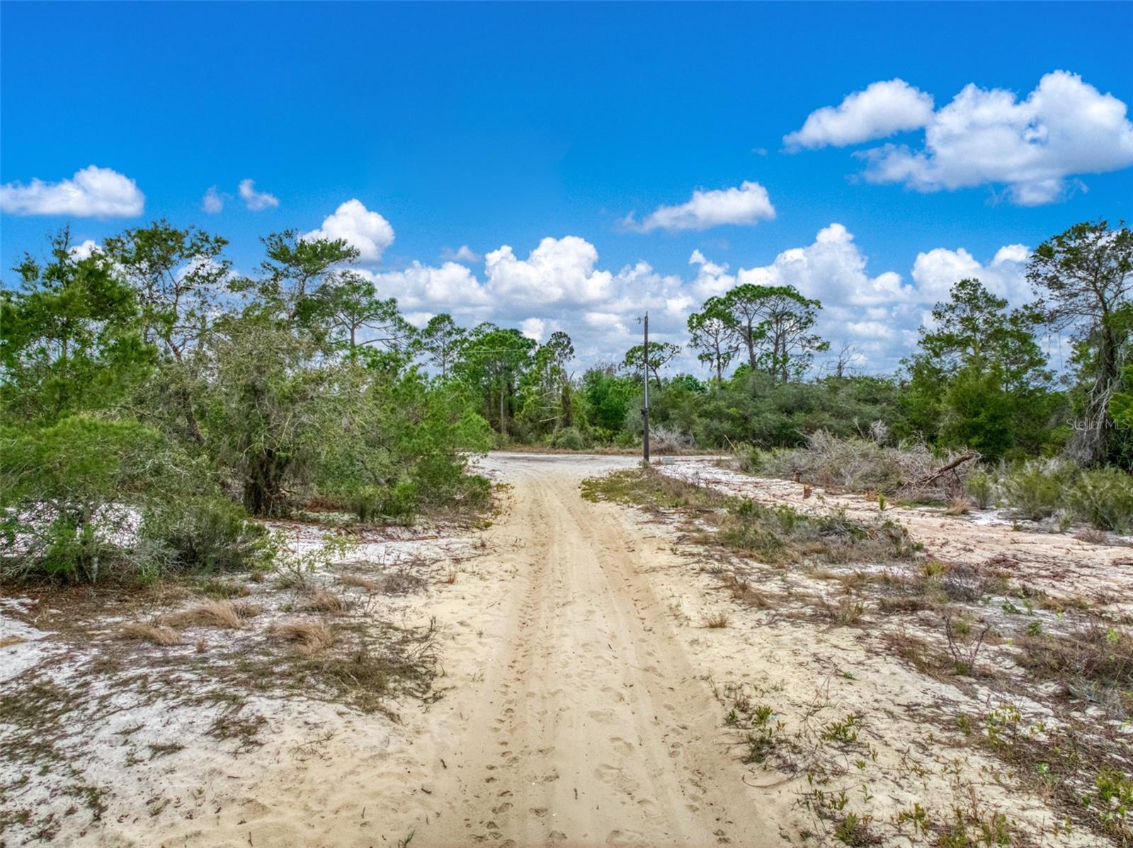 Image 13 of 16 For 143 Patton Avenue