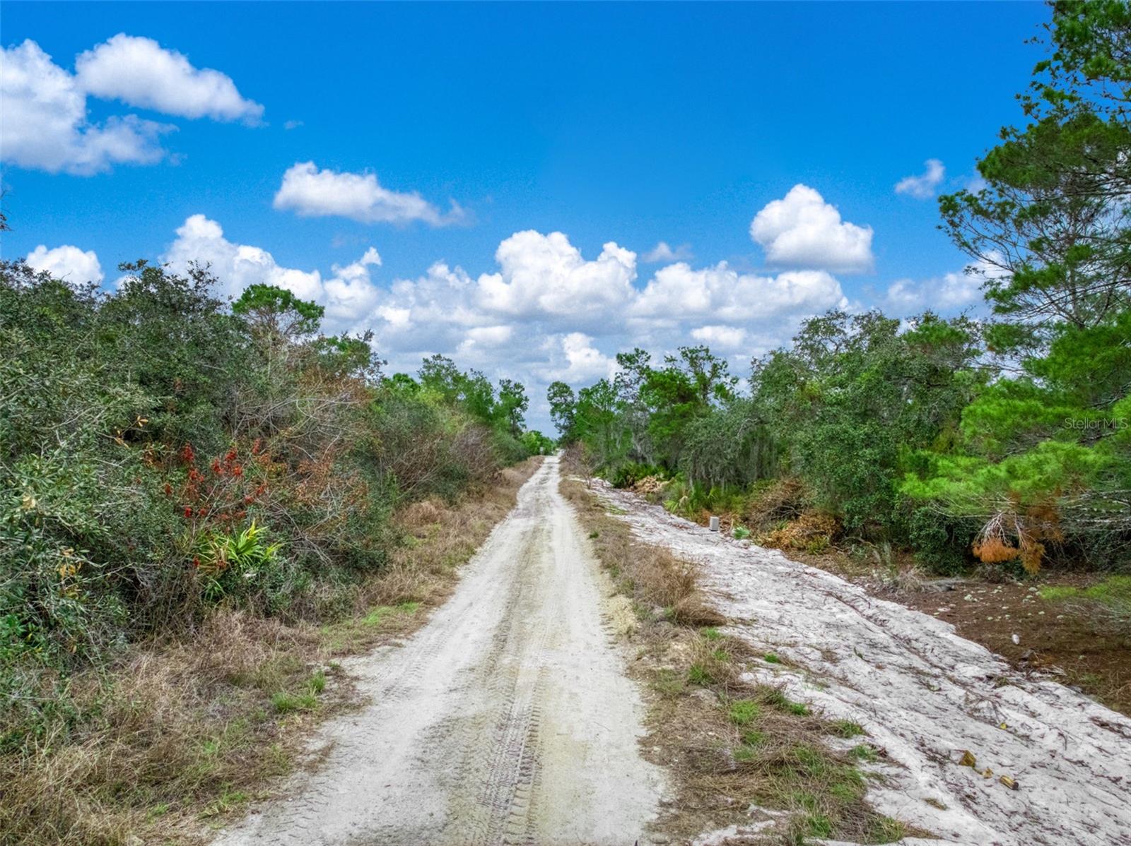 Image 14 of 16 For 143 Patton Avenue