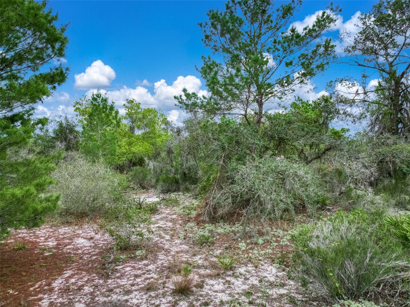 Image 15 of 16 For 143 Patton Avenue