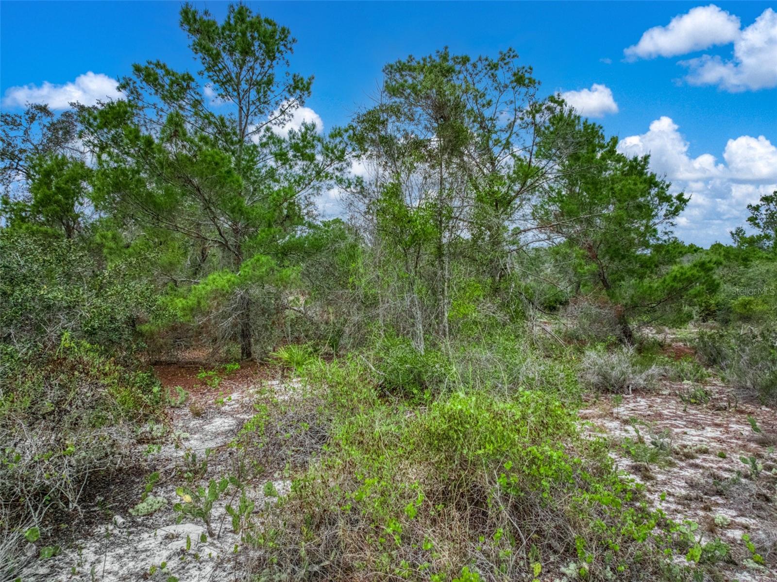 Image 16 of 16 For 143 Patton Avenue