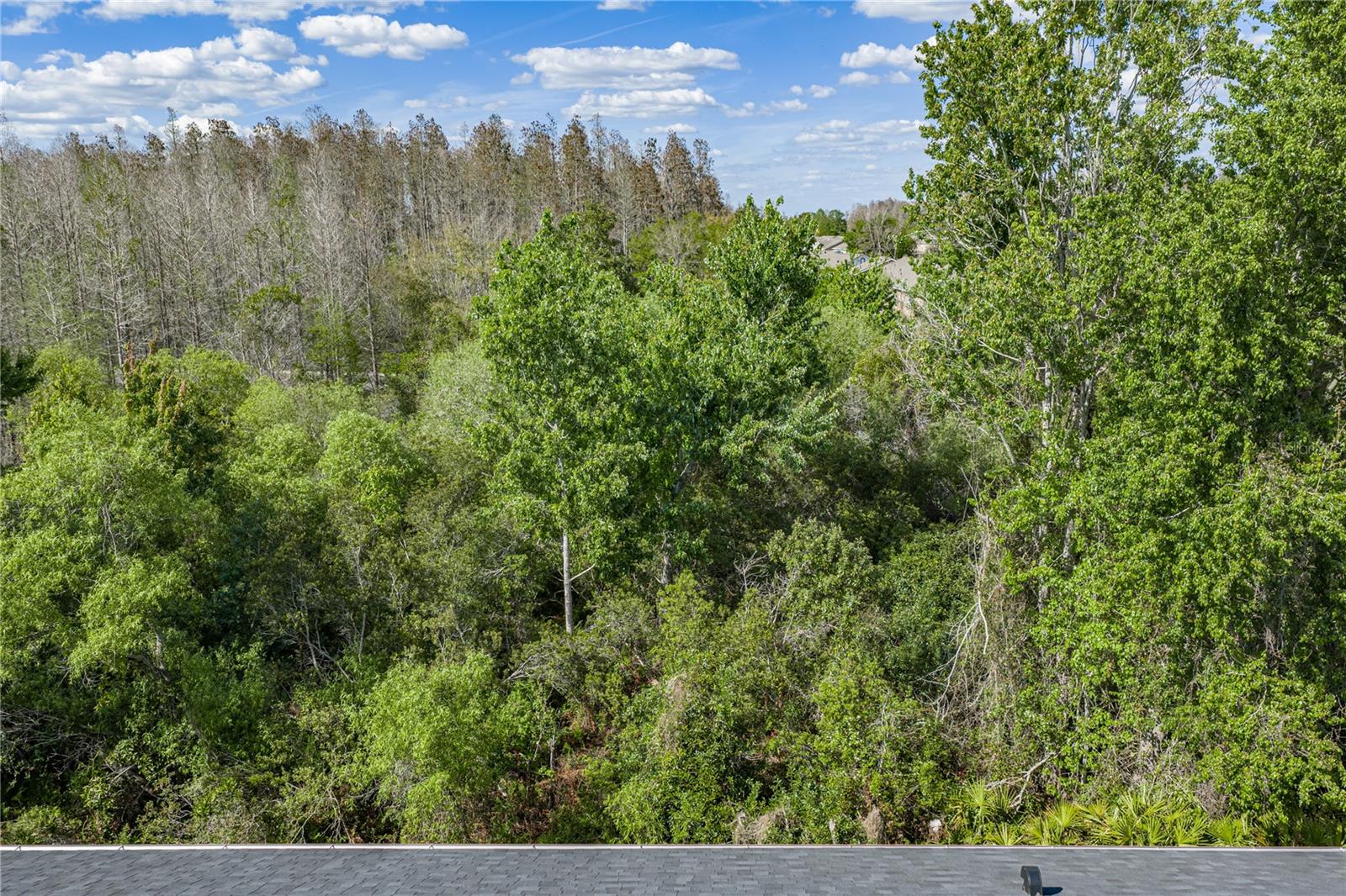 Image 33 of 40 For 30131 Mossbank Drive