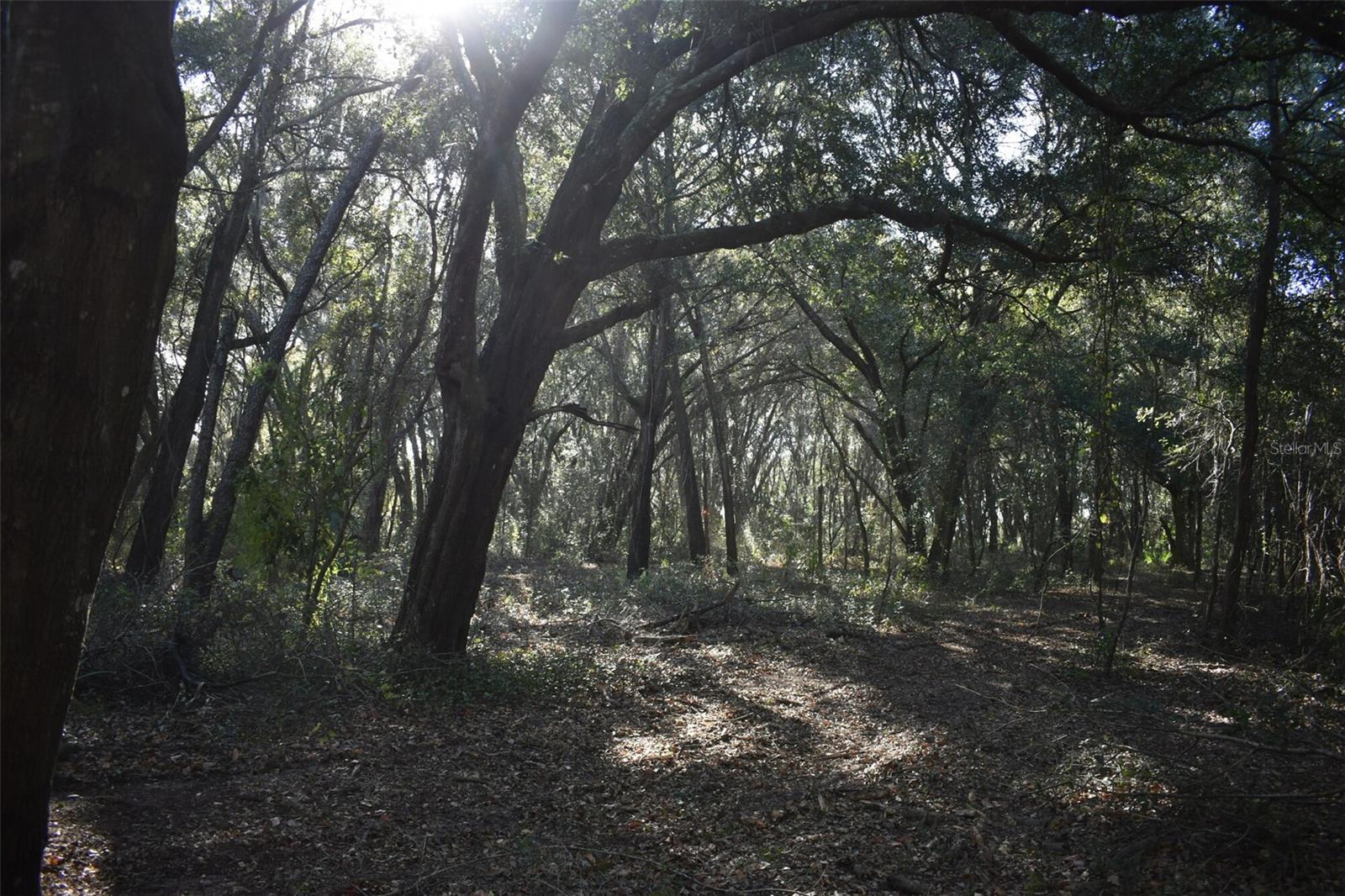 Image 44 of 66 For 13800 County Road 450