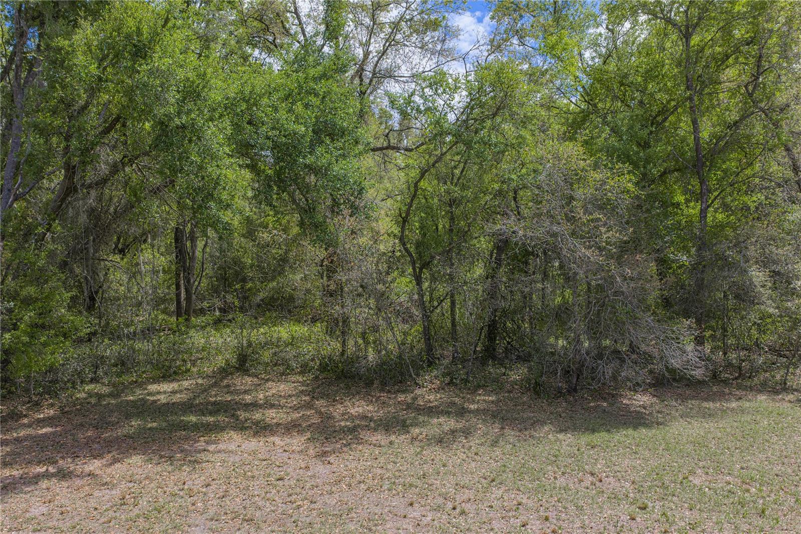 Image 22 of 41 For 0 Clayton Road