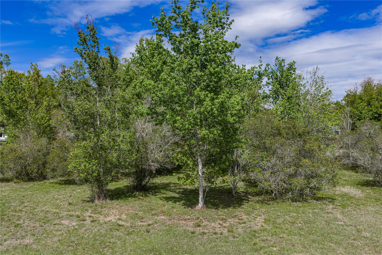 Image 24 of 41 For 0 Clayton Road