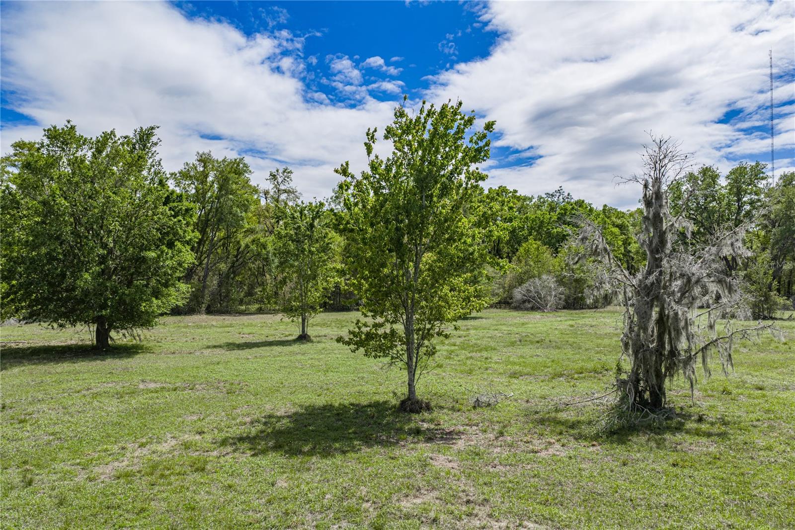 Image 25 of 41 For 0 Clayton Road