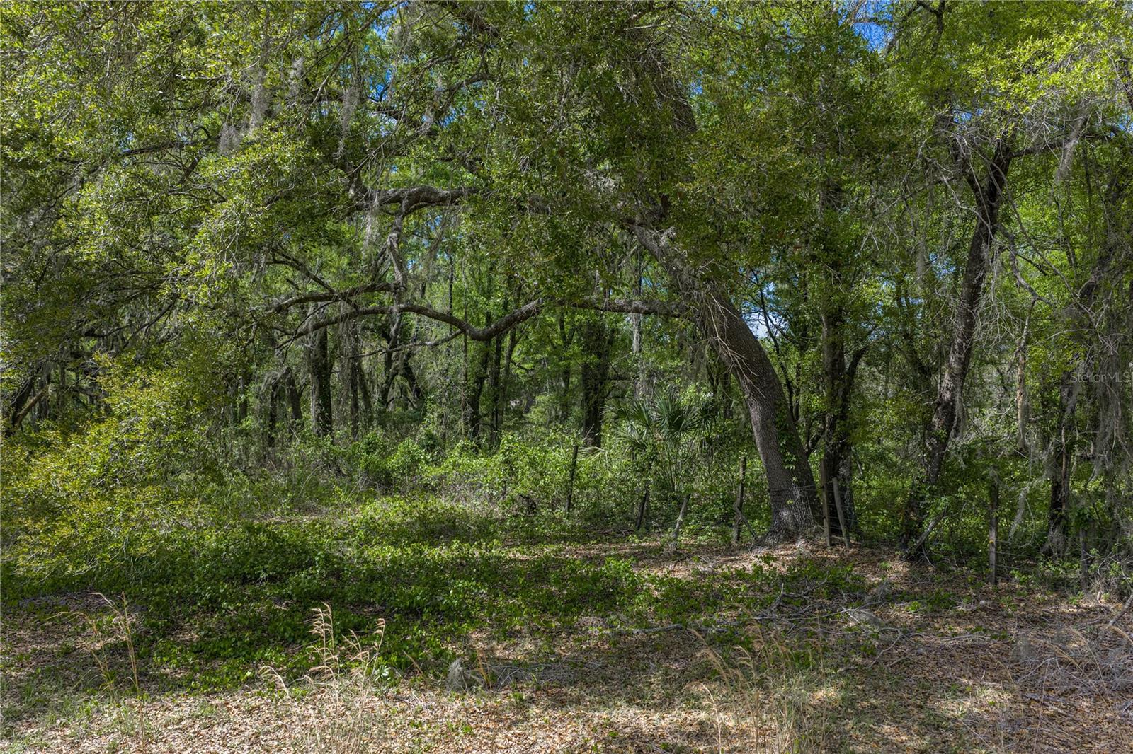 Image 31 of 41 For 0 Clayton Road