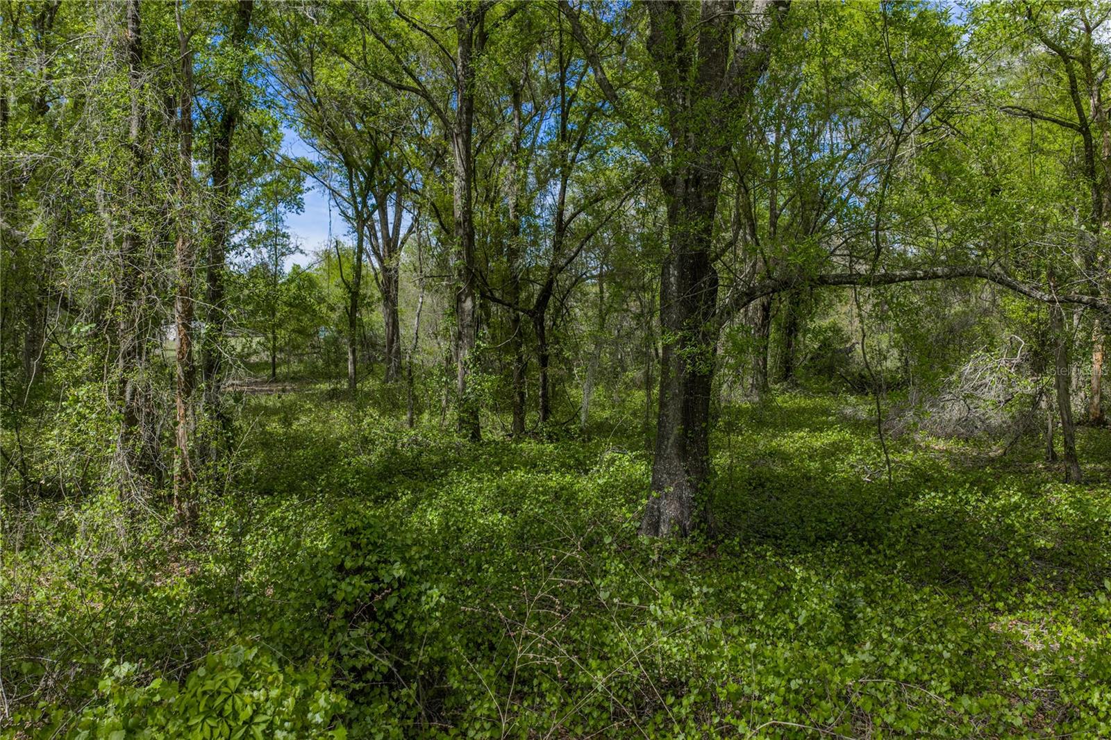 Image 33 of 41 For 0 Clayton Road