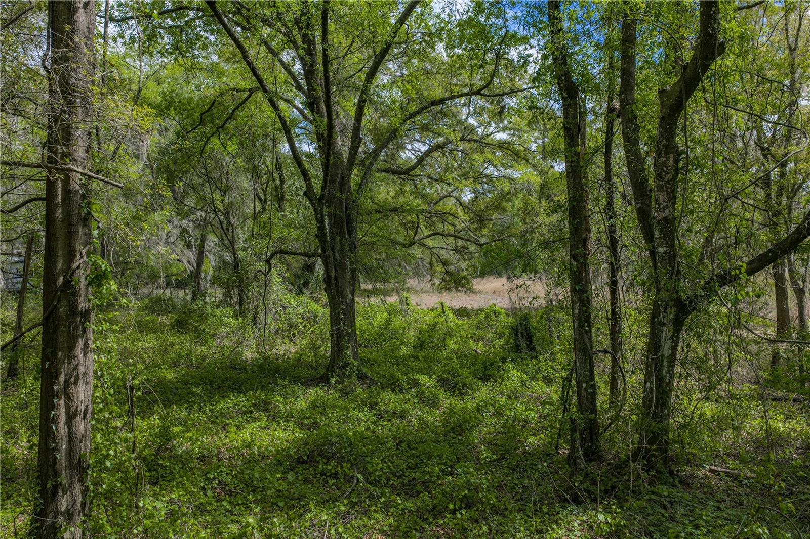 Image 36 of 41 For 0 Clayton Road