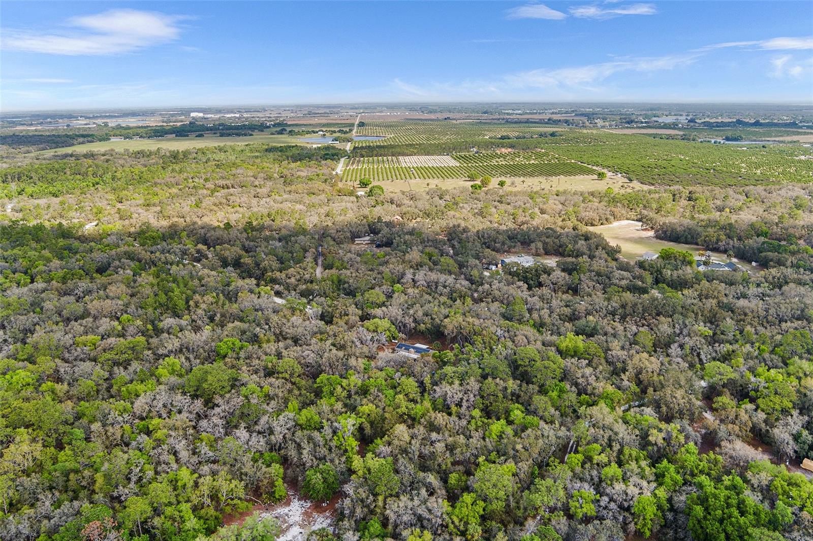 Image 45 of 47 For 3545 Tiger Creek Trail