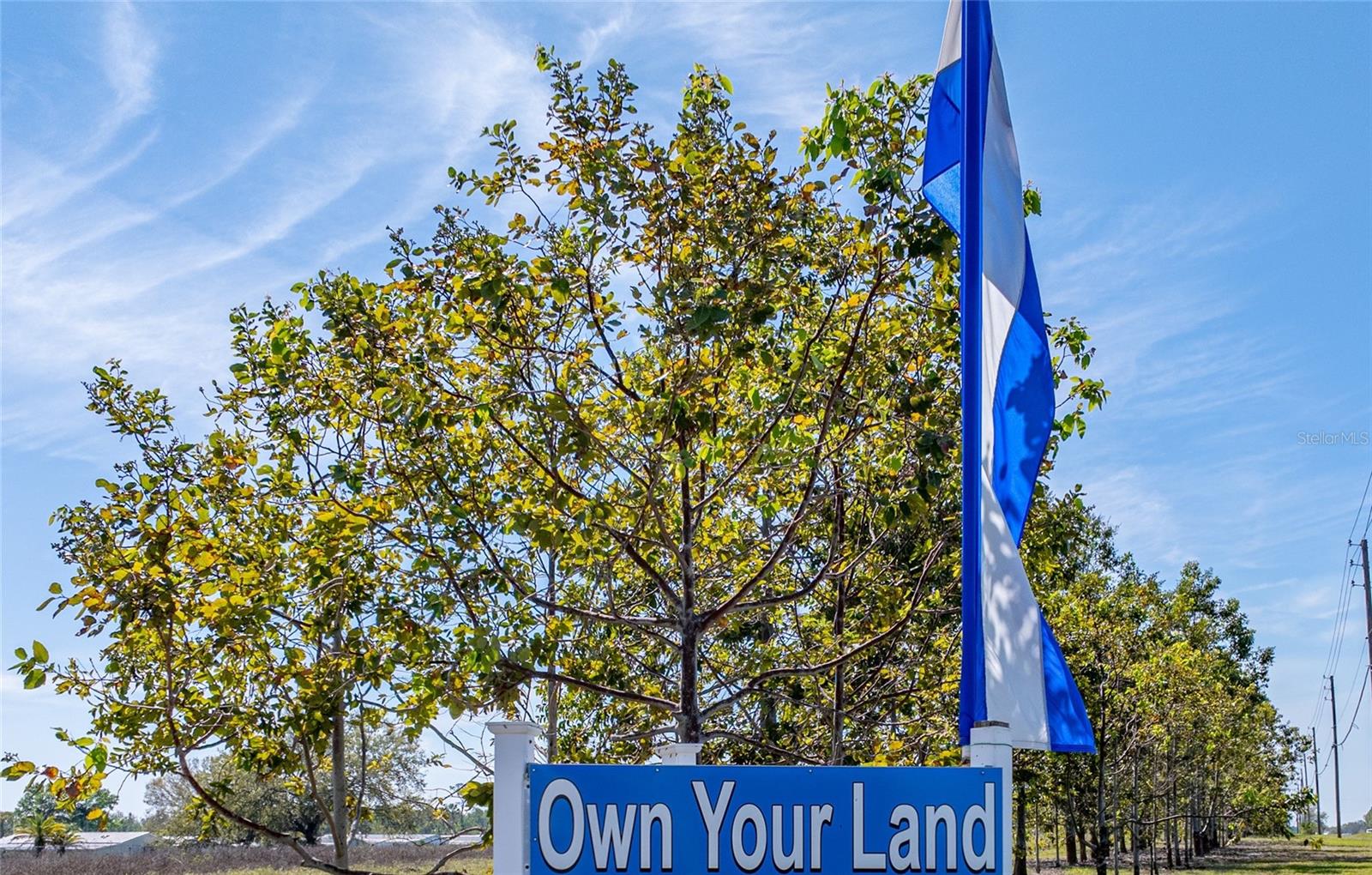 Image 4 of 38 For 102 Newcastle Boulevard