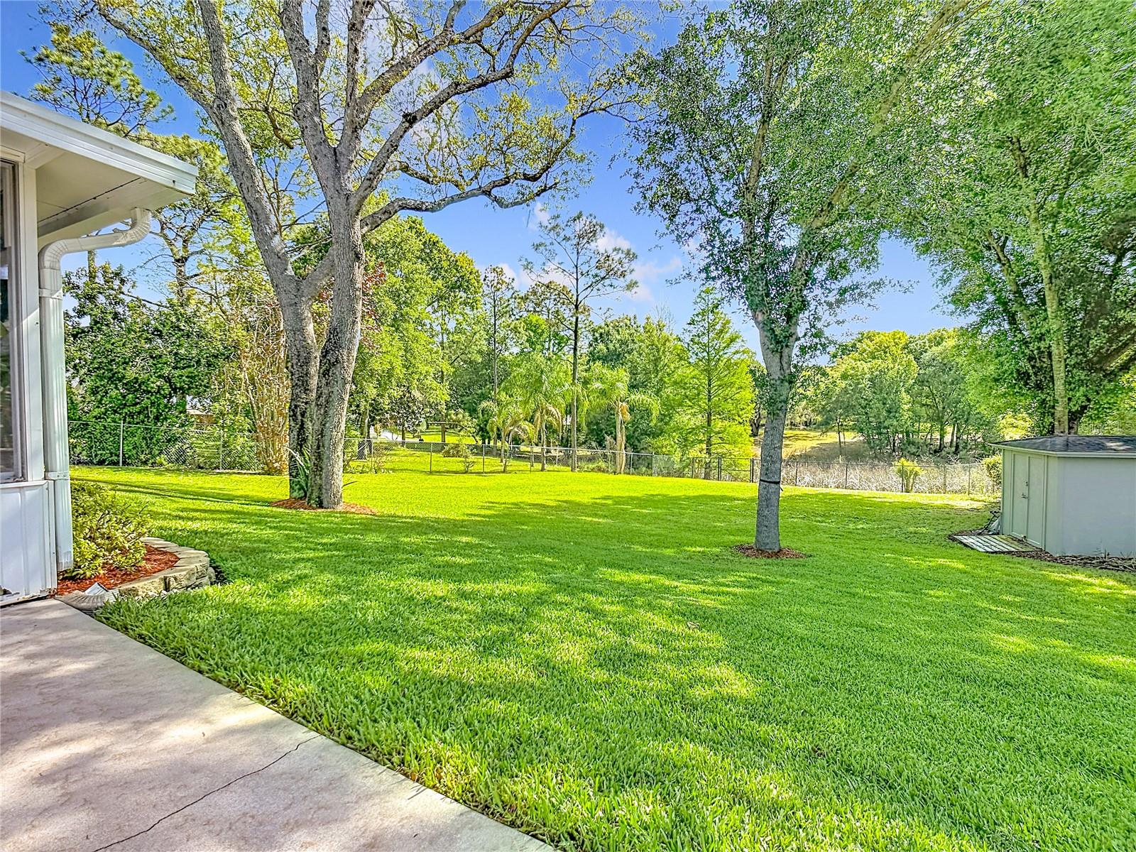 Image 45 of 57 For 3536 Pine Tree Loop