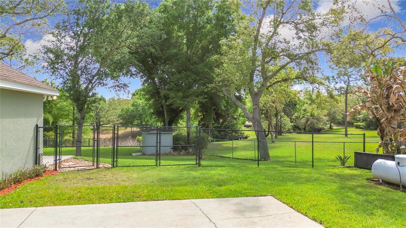 Image 46 of 57 For 3536 Pine Tree Loop