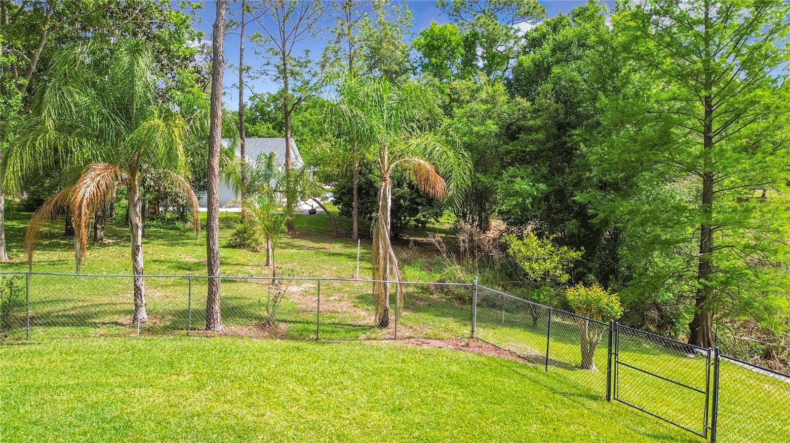 Image 49 of 57 For 3536 Pine Tree Loop