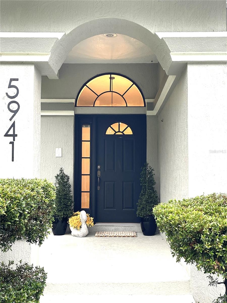 Image 2 of 61 For 5941 Velvet Loop