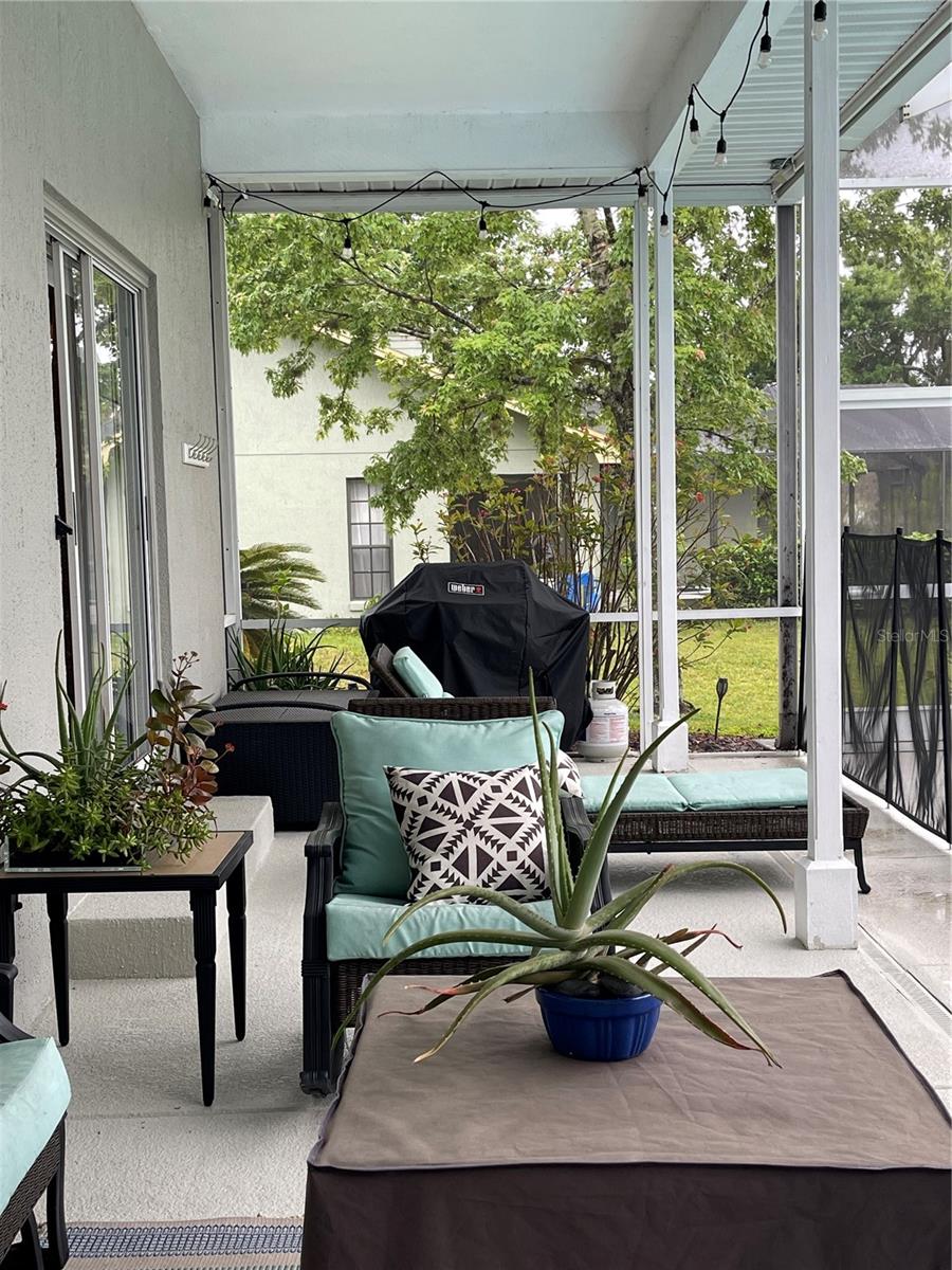 Image 58 of 61 For 5941 Velvet Loop