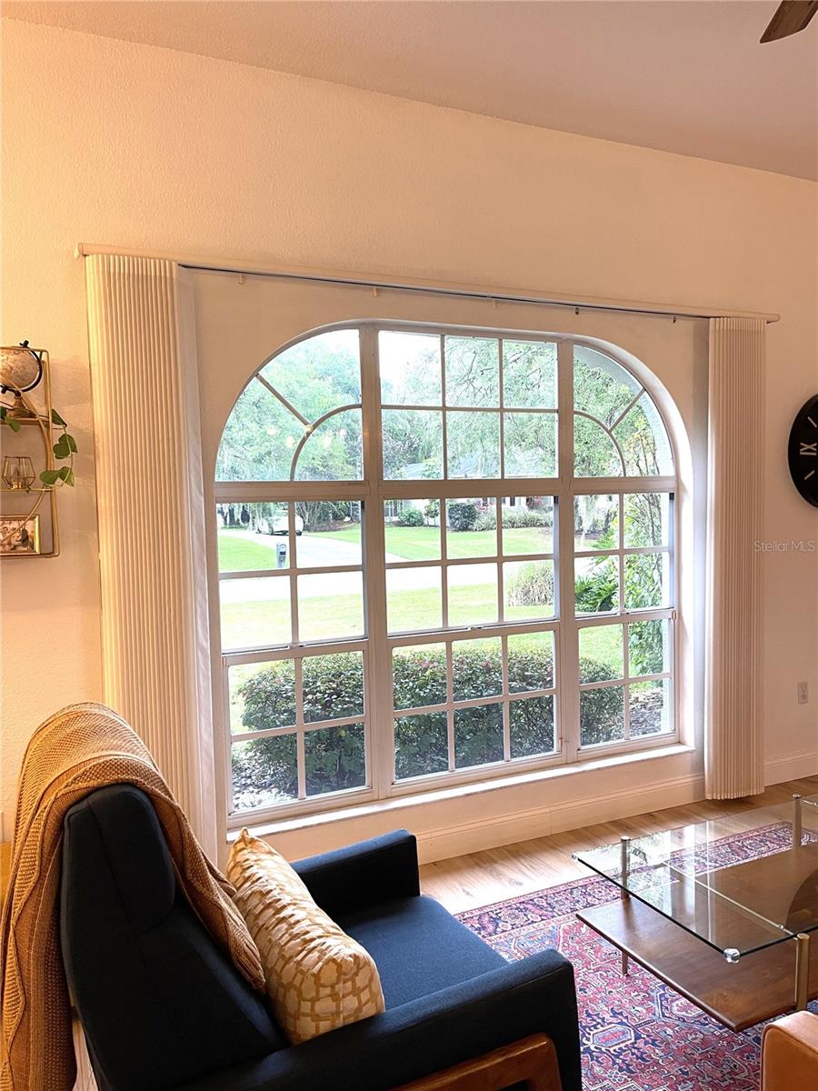 Image 6 of 61 For 5941 Velvet Loop