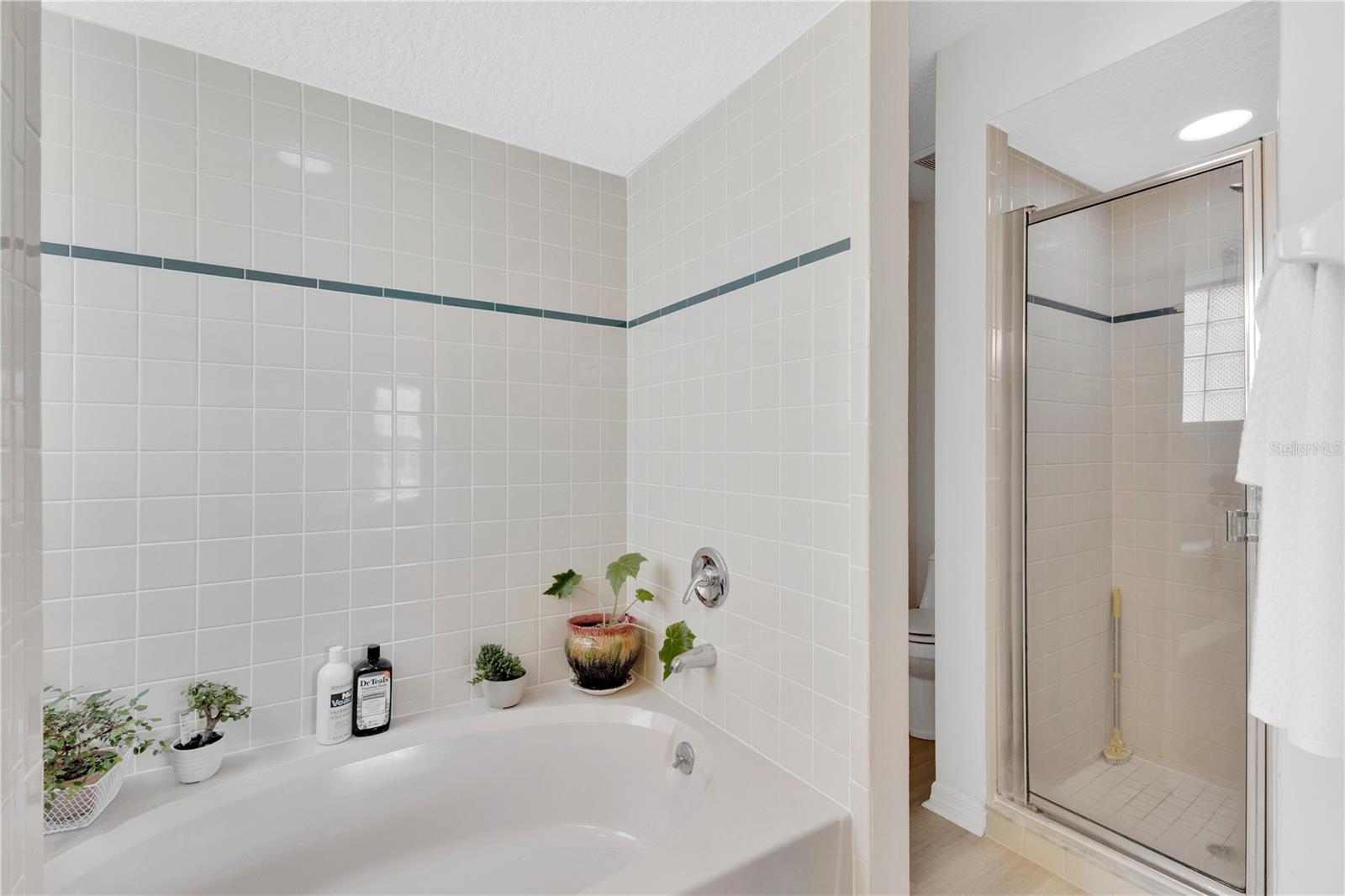 Image 9 of 26 For 558 Pinnacle Drive