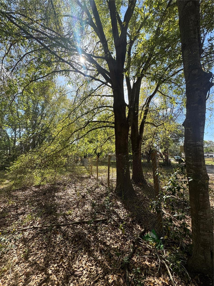 Image 6 of 6 For 0 Denmark Street