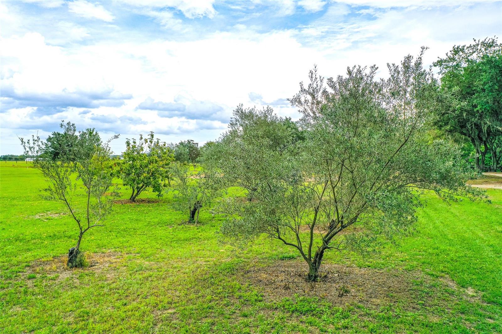 Image 62 of 97 For 6850 Hunt Road