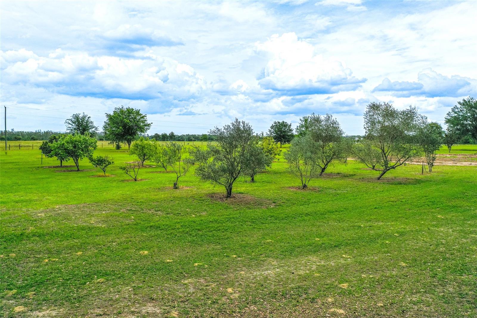 Image 63 of 97 For 6850 Hunt Road