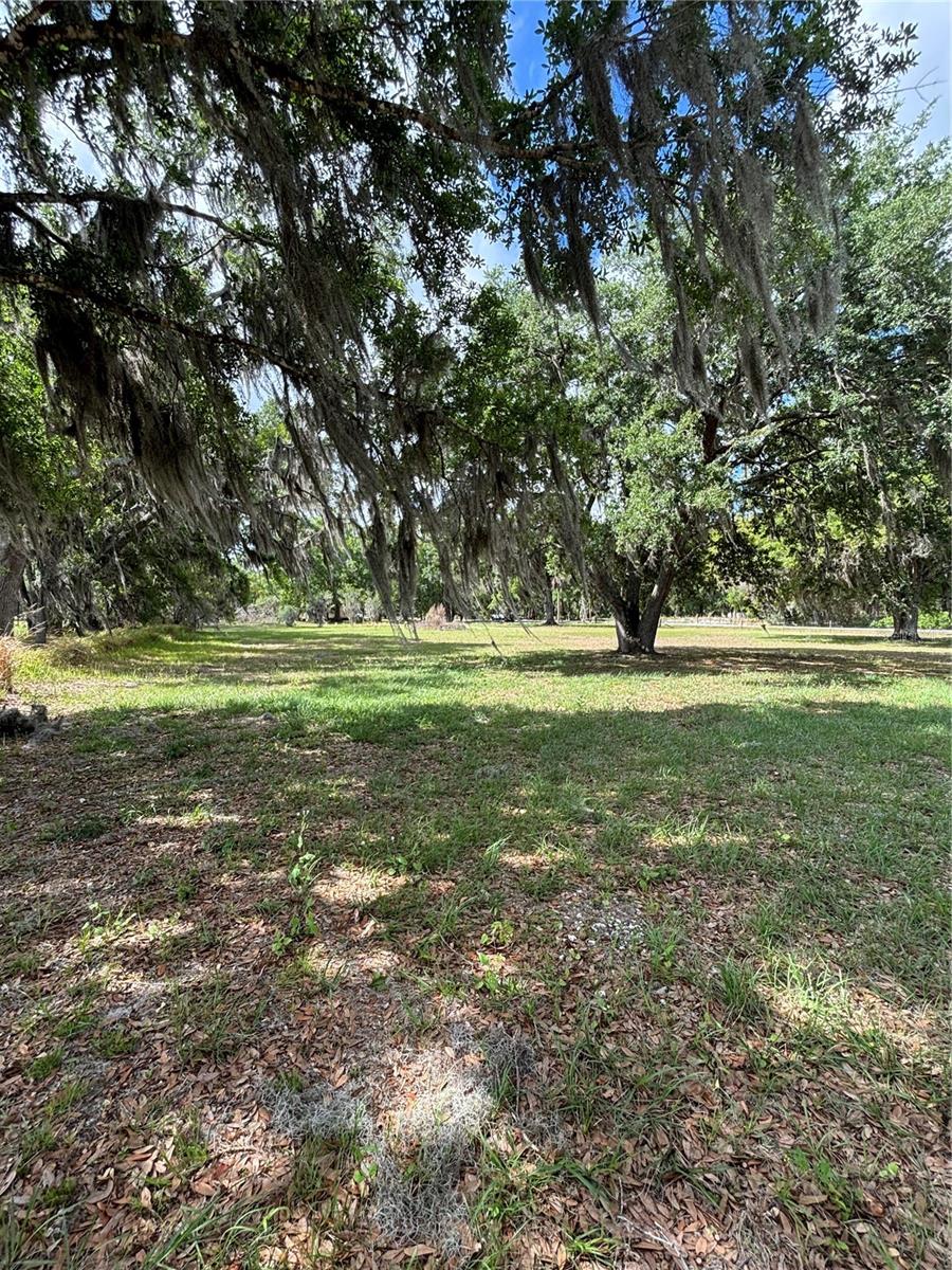 Image 12 of 26 For 1445 Carter Street