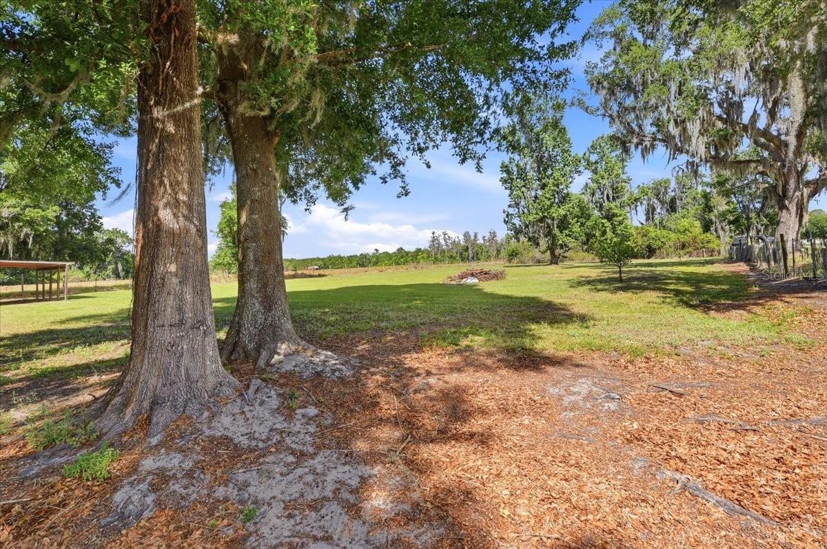 Image 40 of 52 For 4205 Combee Road