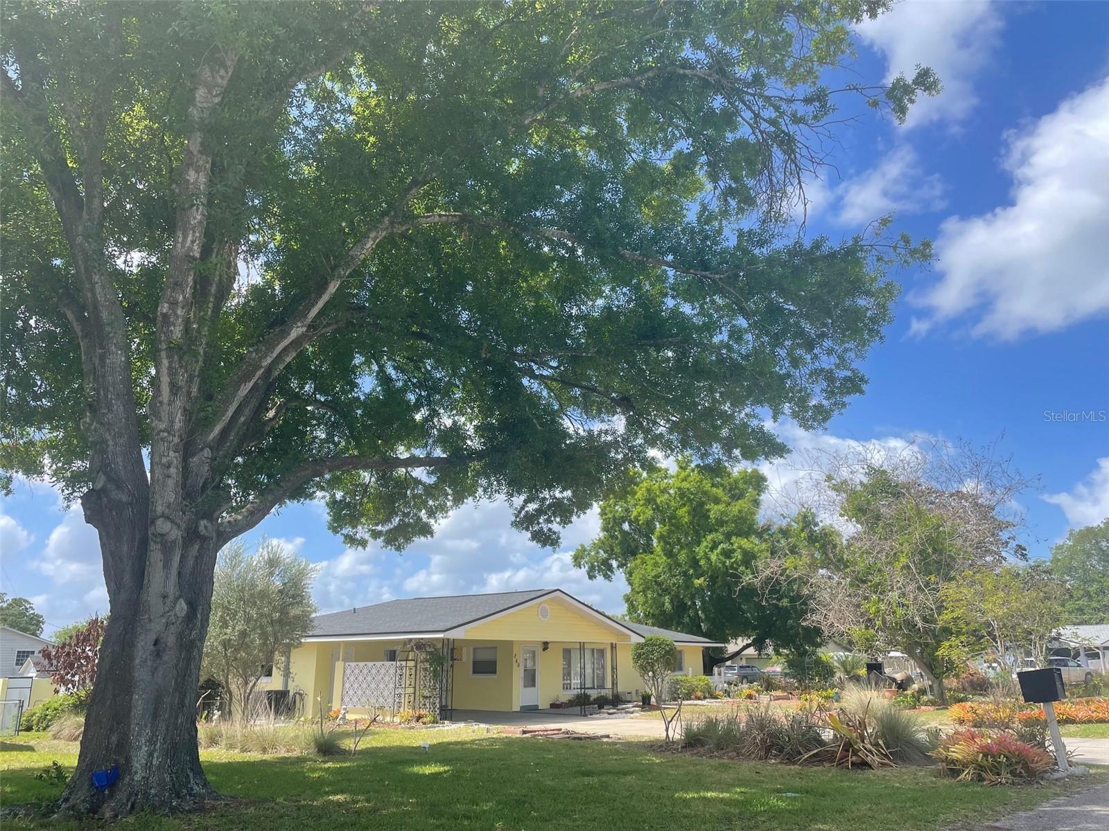 Details for 260 Harbord Street, LAKE ALFRED, FL 33850