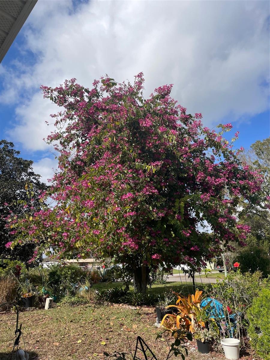 Image 32 of 33 For 260 Harbord Street