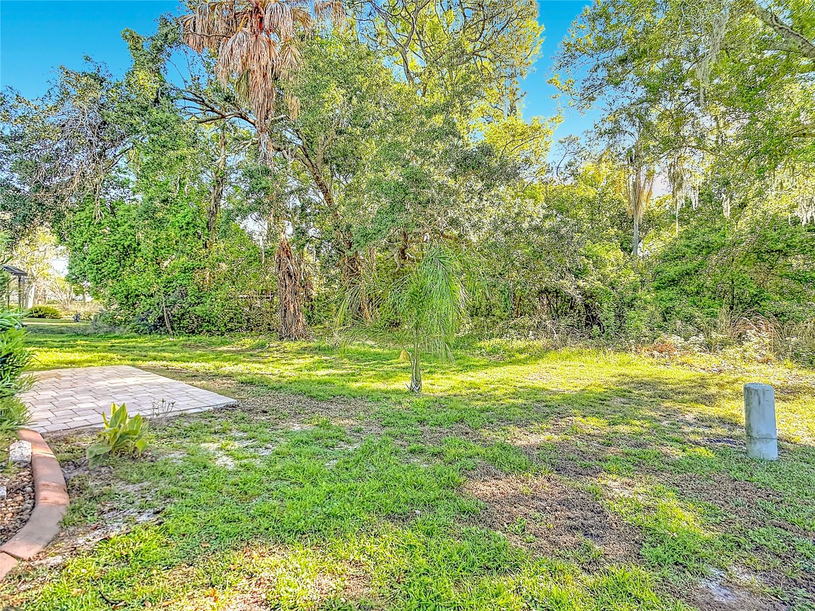 Image 41 of 49 For 6561 Chinaberry Dr Ne