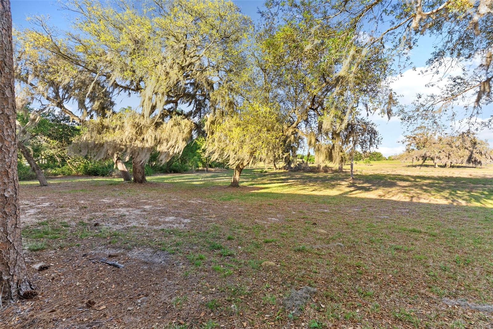 Image 20 of 23 For 567 Maple Leaf Court 567