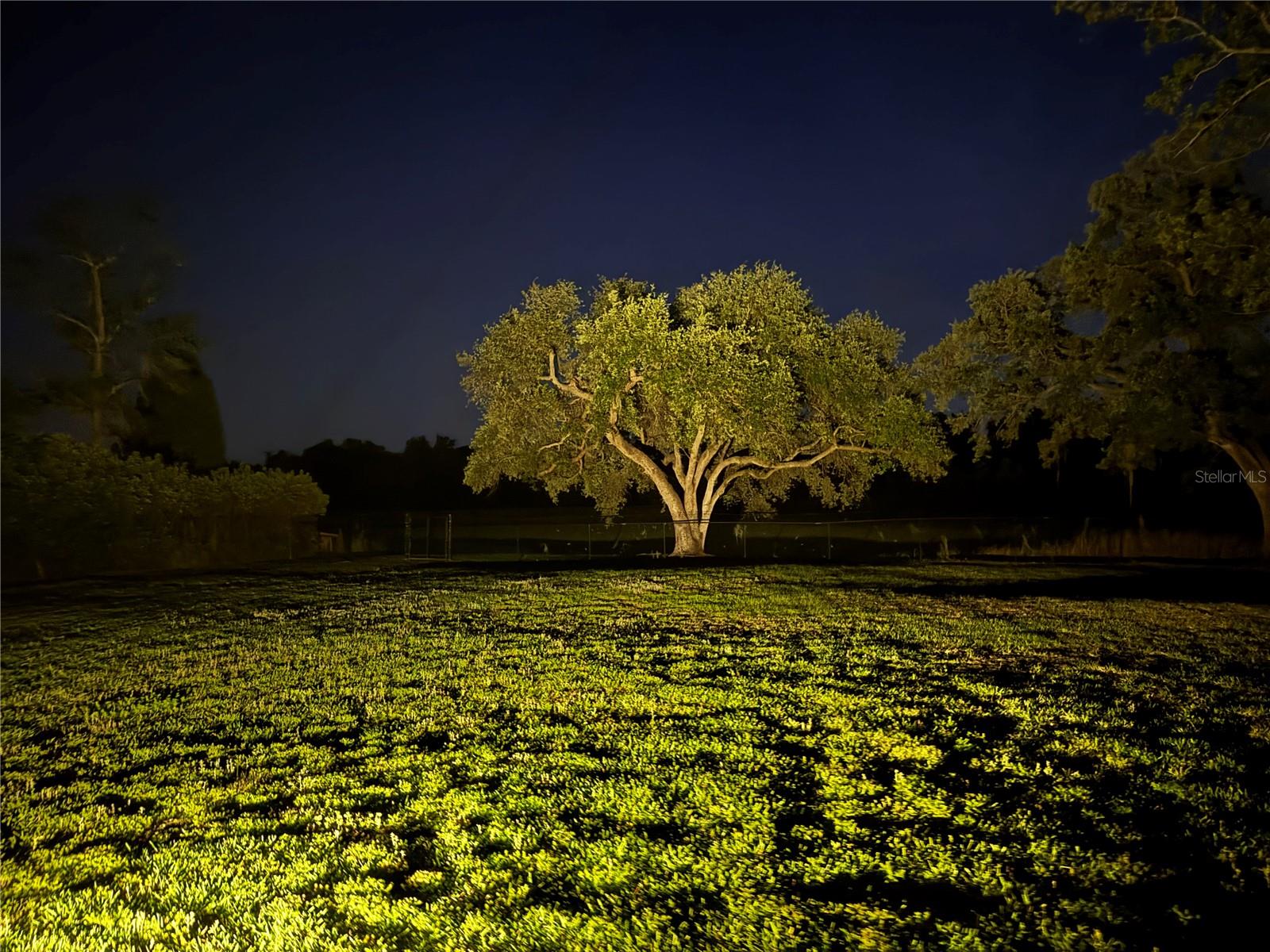 Image 65 of 94 For 1310 Rolling Woods Lane